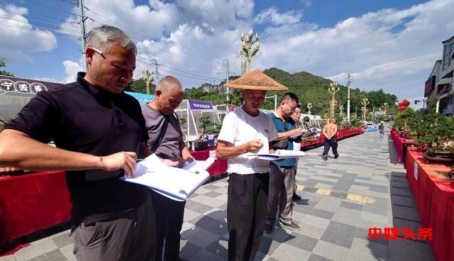 贵州省龙里县盆景艺术盛宴:庆祝中秋国庆,助推旅游与乡村振兴