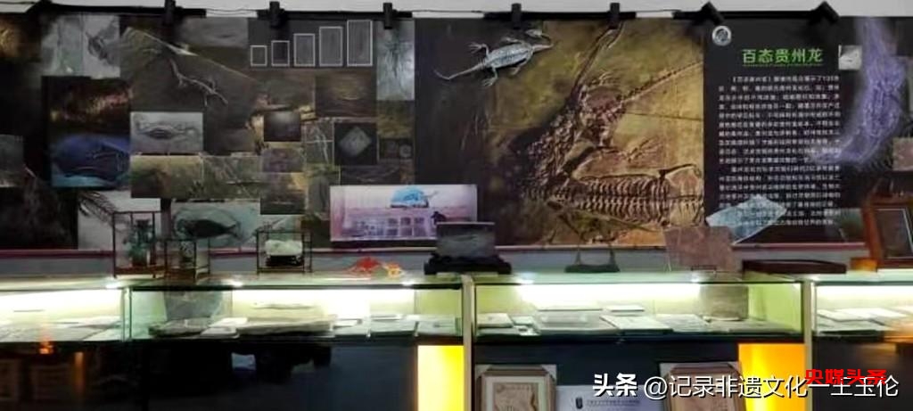 胡氏龙文化馆:深入探寻贵州龙的奇妙世界