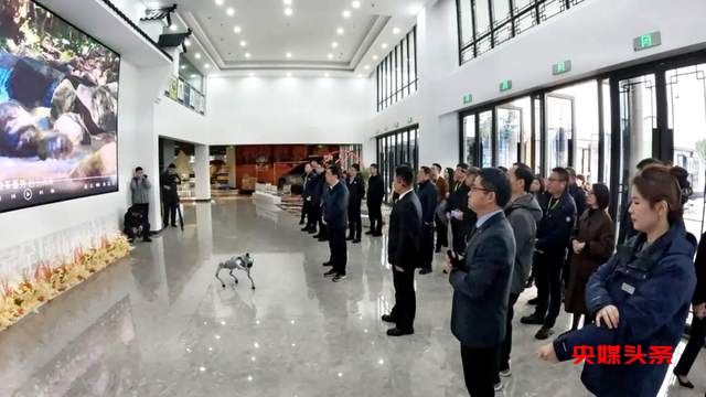 金华山下的文旅创新“春之约”:探索高等级品牌与文旅融合新路径