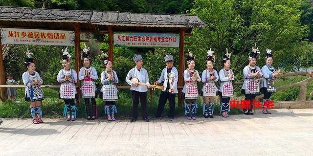 2025年“五一”黄金周:从江县变身欢乐海洋,民俗文化与自然风光引爆旅游热潮