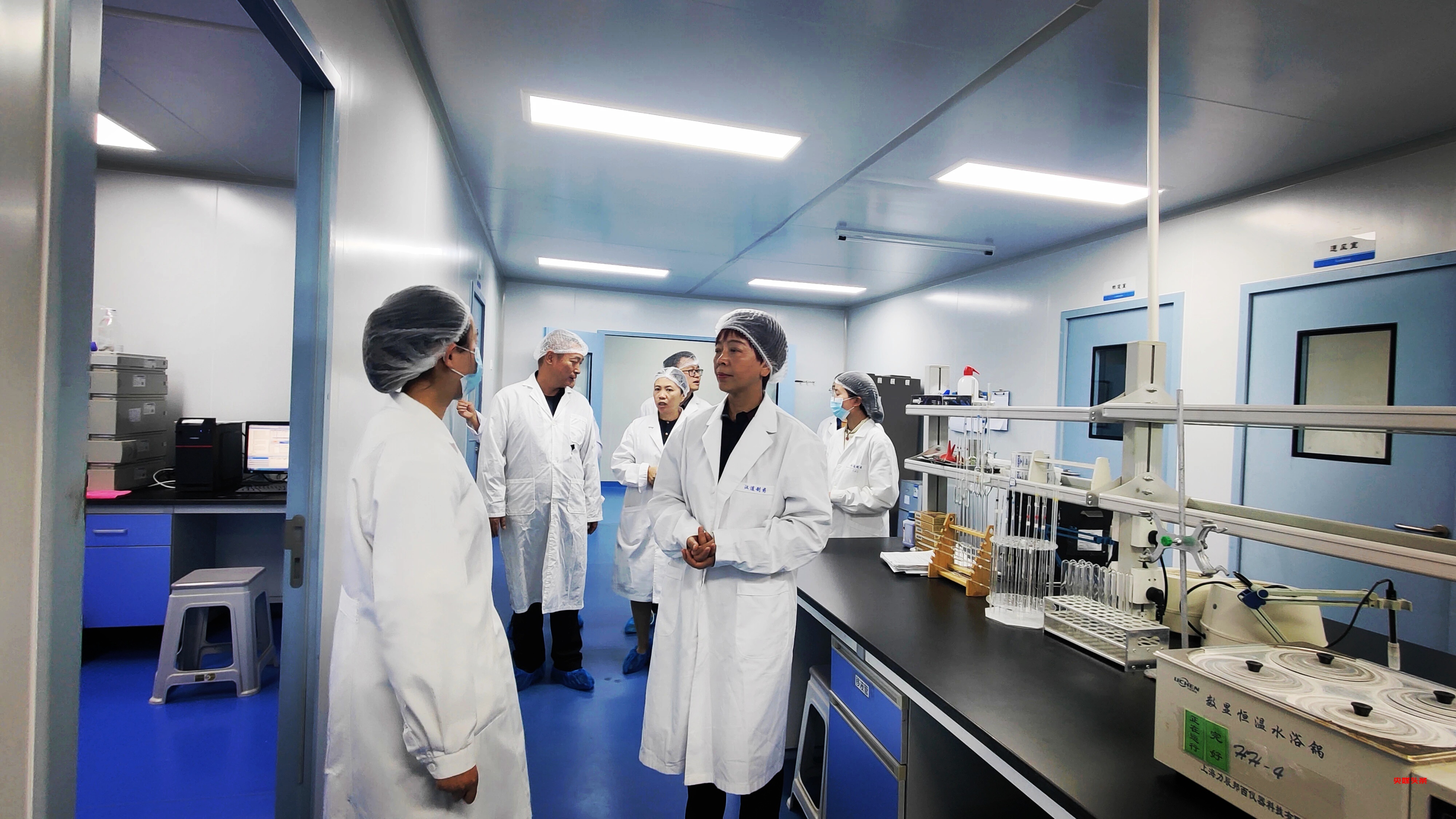 跨越千年的对话:陈子久用科学验证傣医古方奇迹