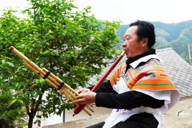 王海生:一把芦笙一份匠心的传承之路