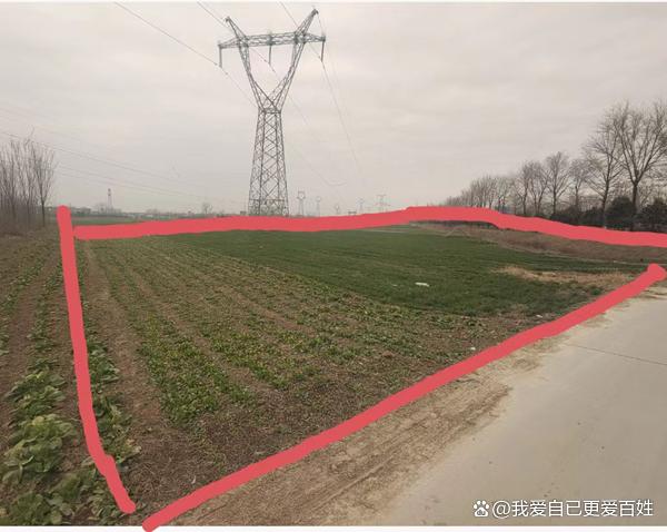 媒体关注河南沈丘“补贴黑洞”：杜庄村村支书被指涉嫌蚕食惠农资金