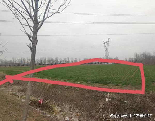 媒体关注河南沈丘“补贴黑洞”：杜庄村村支书被指涉嫌蚕食惠农资金